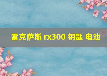 雷克萨斯 rx300 钥匙 电池